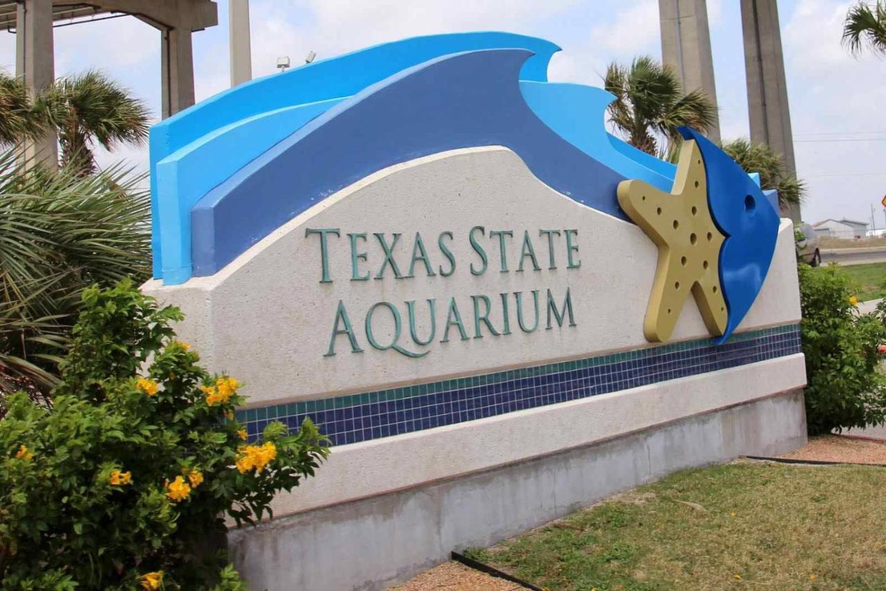 Affordable Family Condo -Walking Distance To Beach By Mustang Island, Sleeps Four, 2025 Traveler Award Corpus Christi Exterior photo